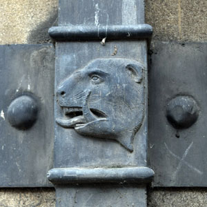 Beaver on Town Hall drainpipe