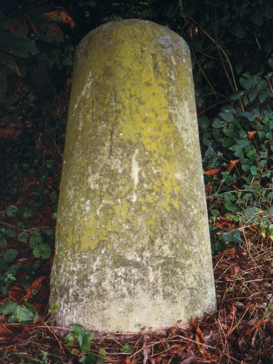 Milestone at Forest Hill