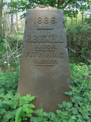 Marston Meadows stone