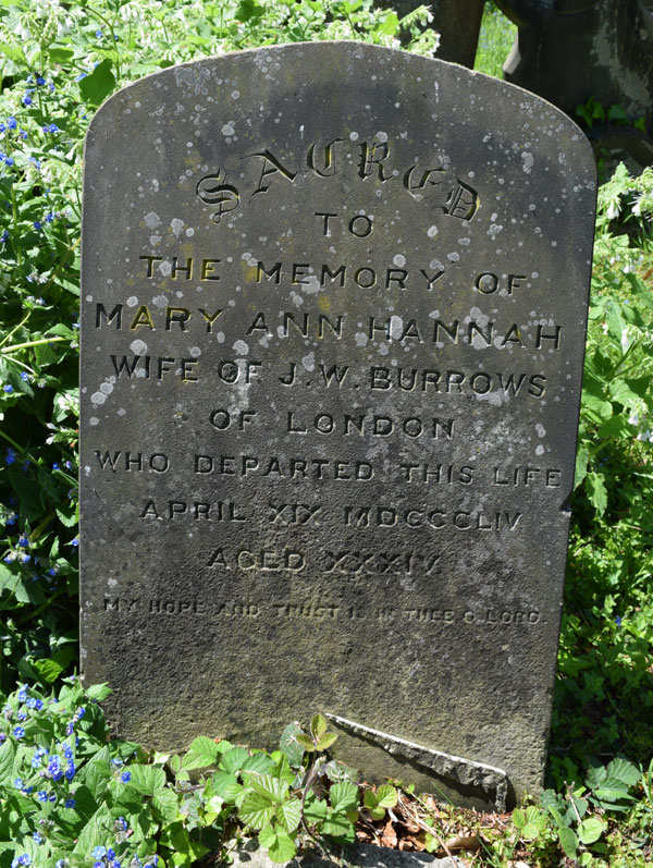 Mary Ann Hannah Burrows
