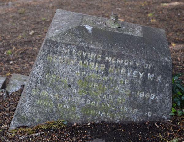 Henry Harvey
