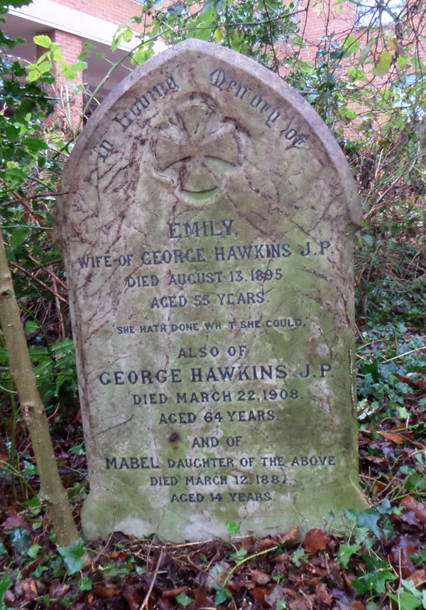 George Hawkins and family