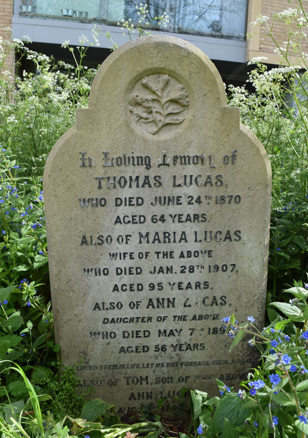 Thomas Lucas