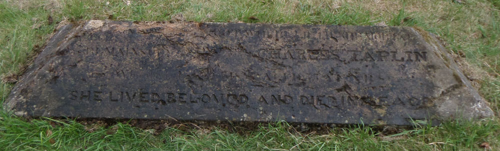 Mary Taplin