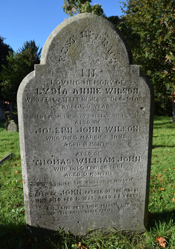 John Wilson